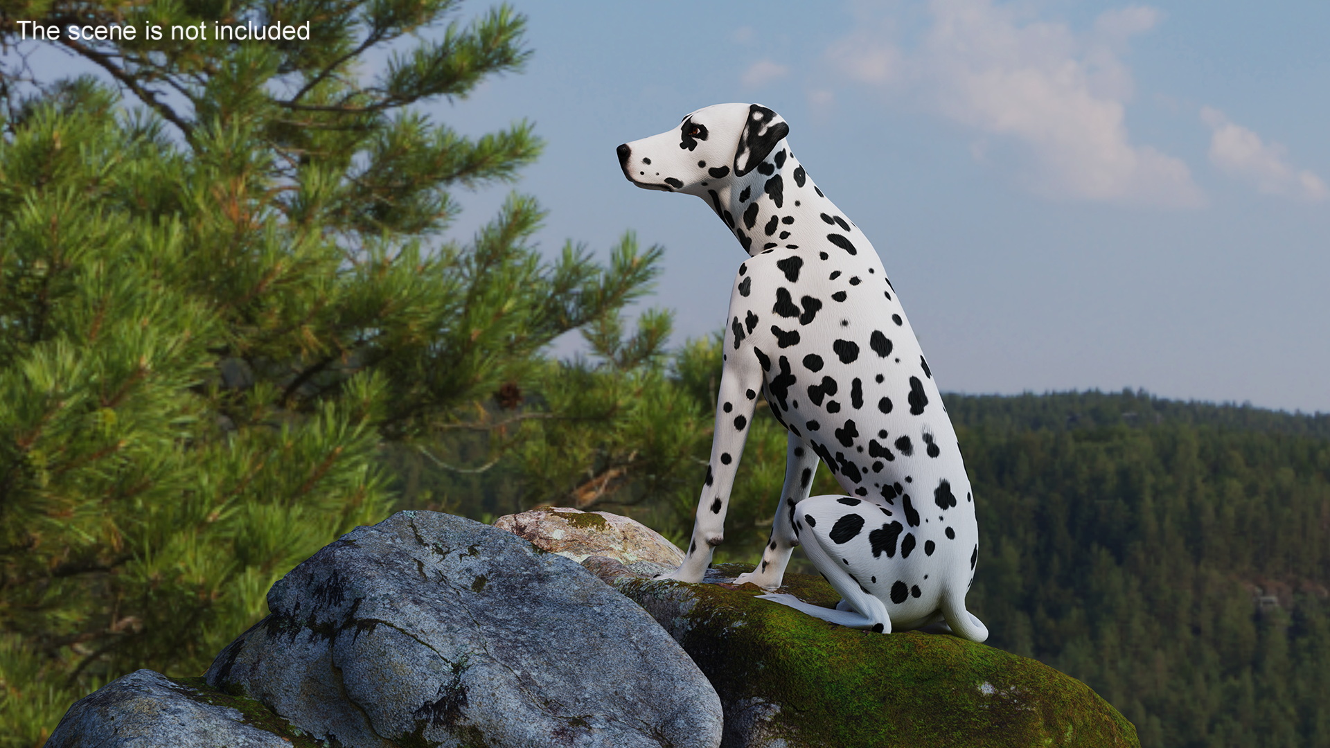 Spotted Sitting Dalmatian Dog 3D model