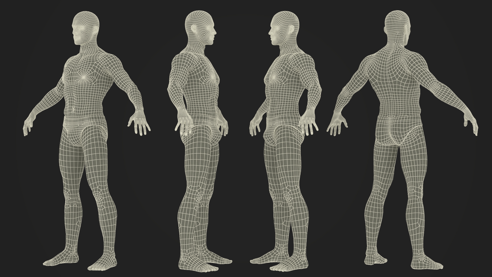 Male Physique Character A-pose Fur 3D model