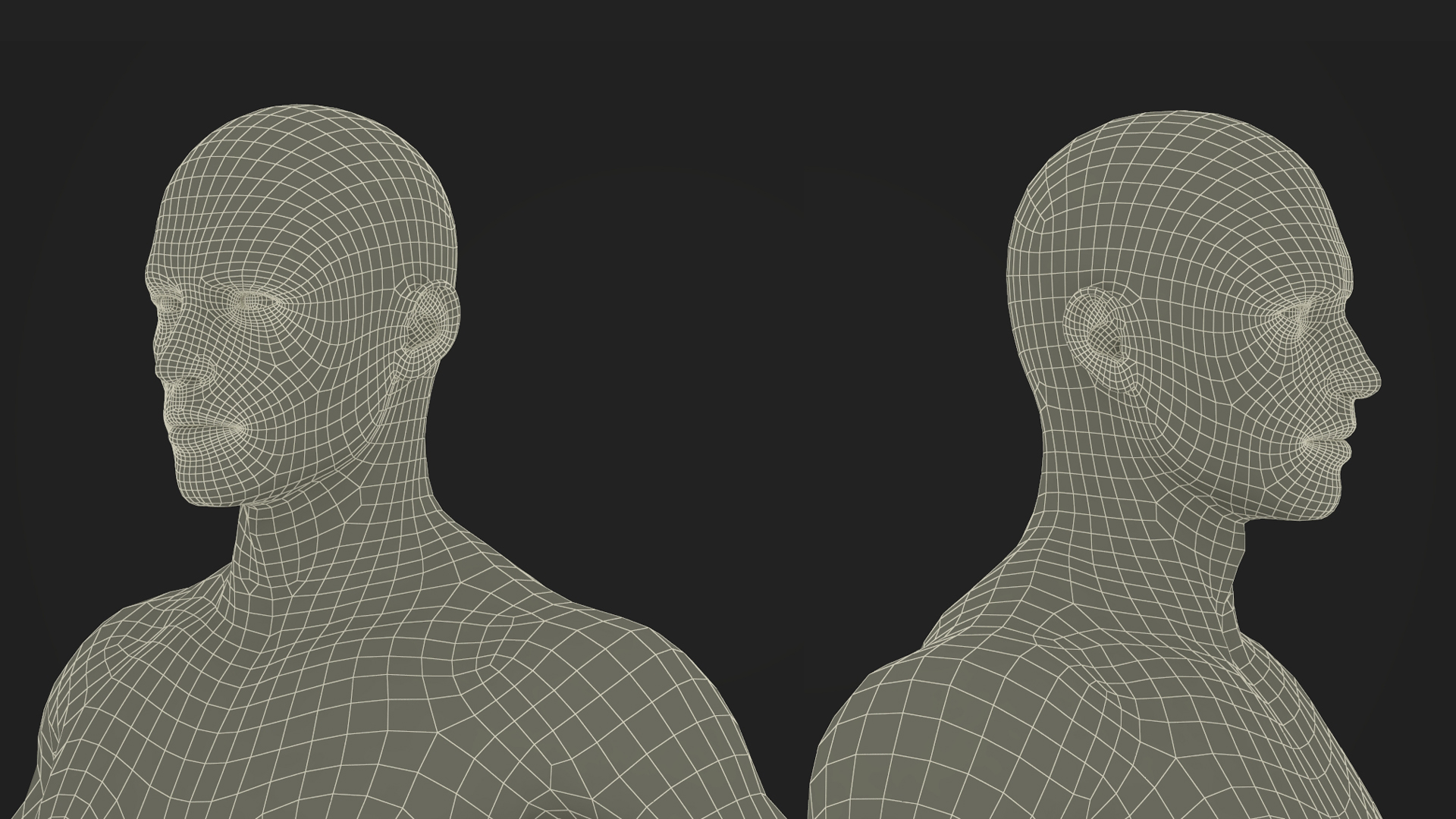 Male Physique Character A-pose Fur 3D model