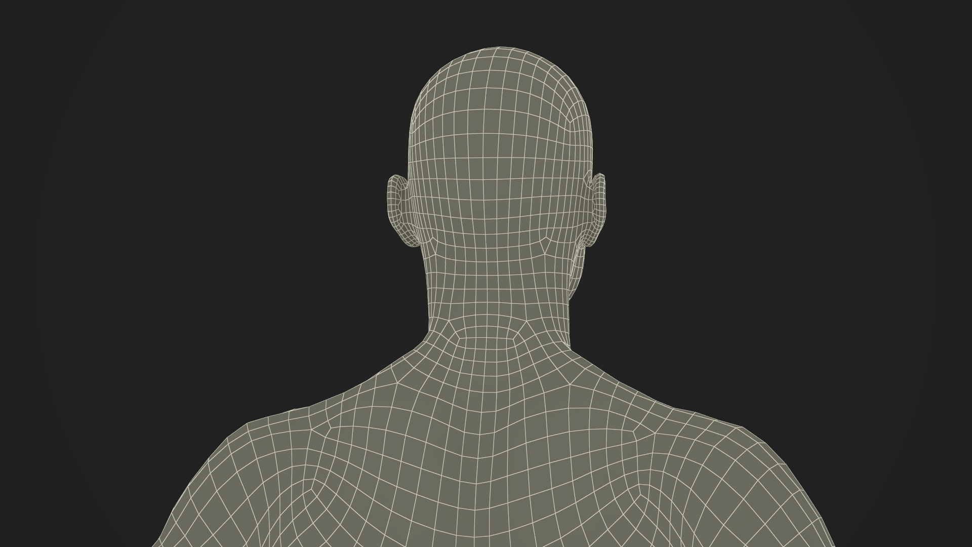 Male Physique Character A-pose Fur 3D model
