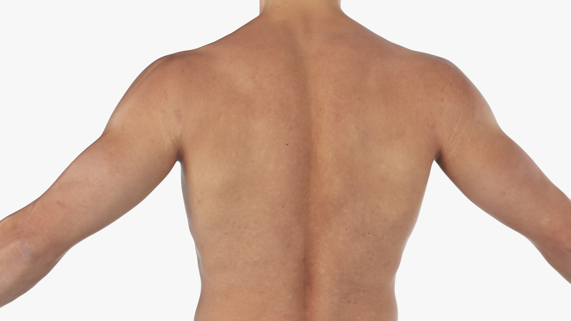 Male Physique Character A-pose Fur 3D model