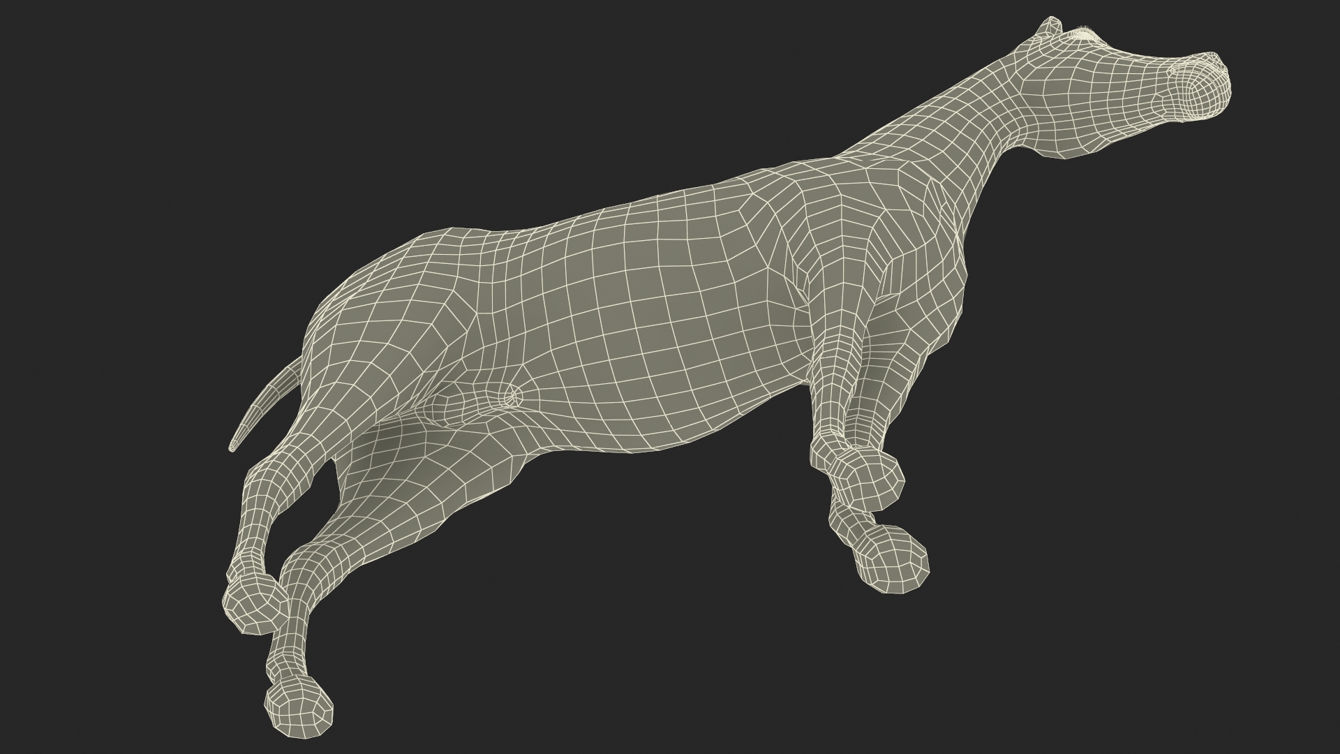 3D model Arabian Horse Gray Dappled Fur