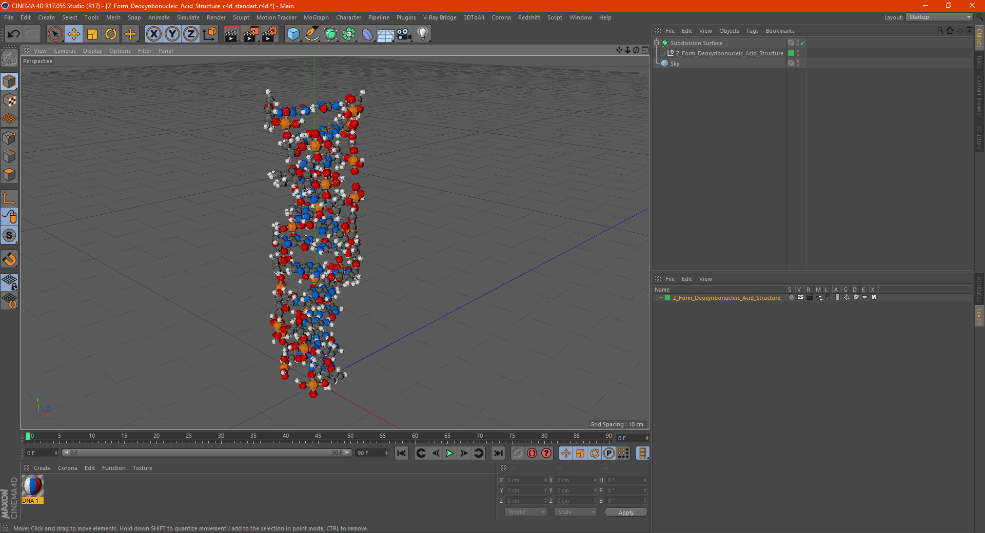 3D Z Form Deoxyribonucleic Acid Structure model