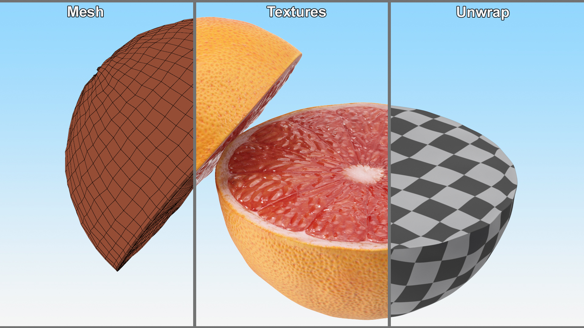 3D model Grapefruit Citrus Fruit Cut in Half