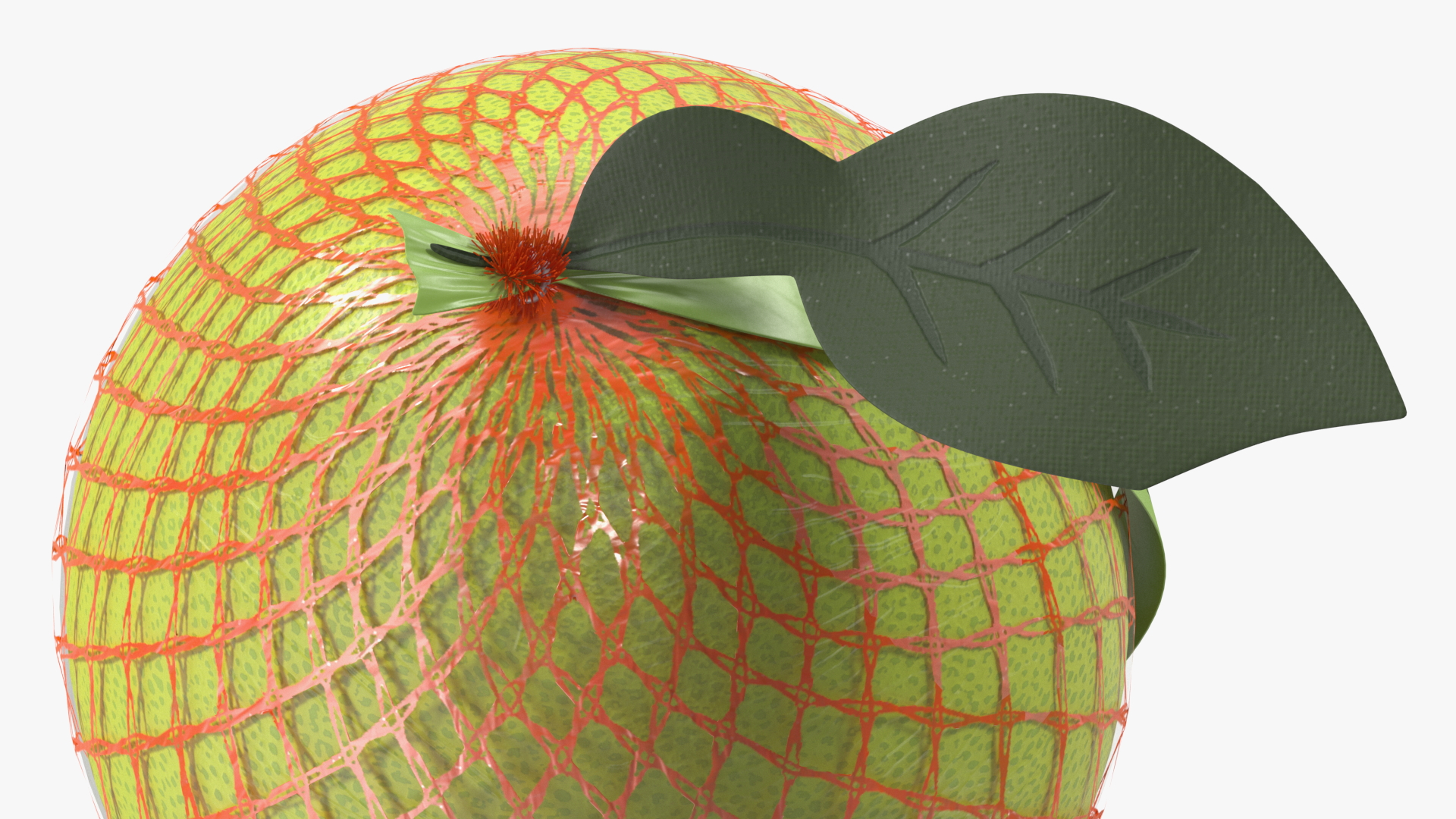 3D model Pomelo Green Fruit Package Fur