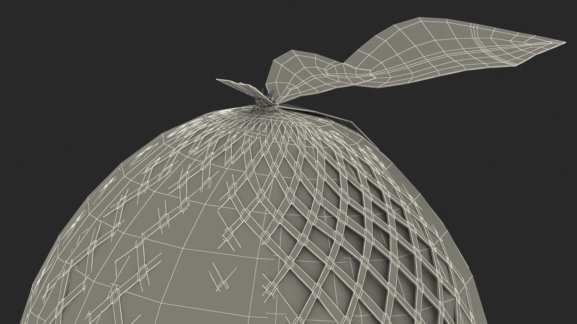 3D model Pomelo Green Fruit Package Fur