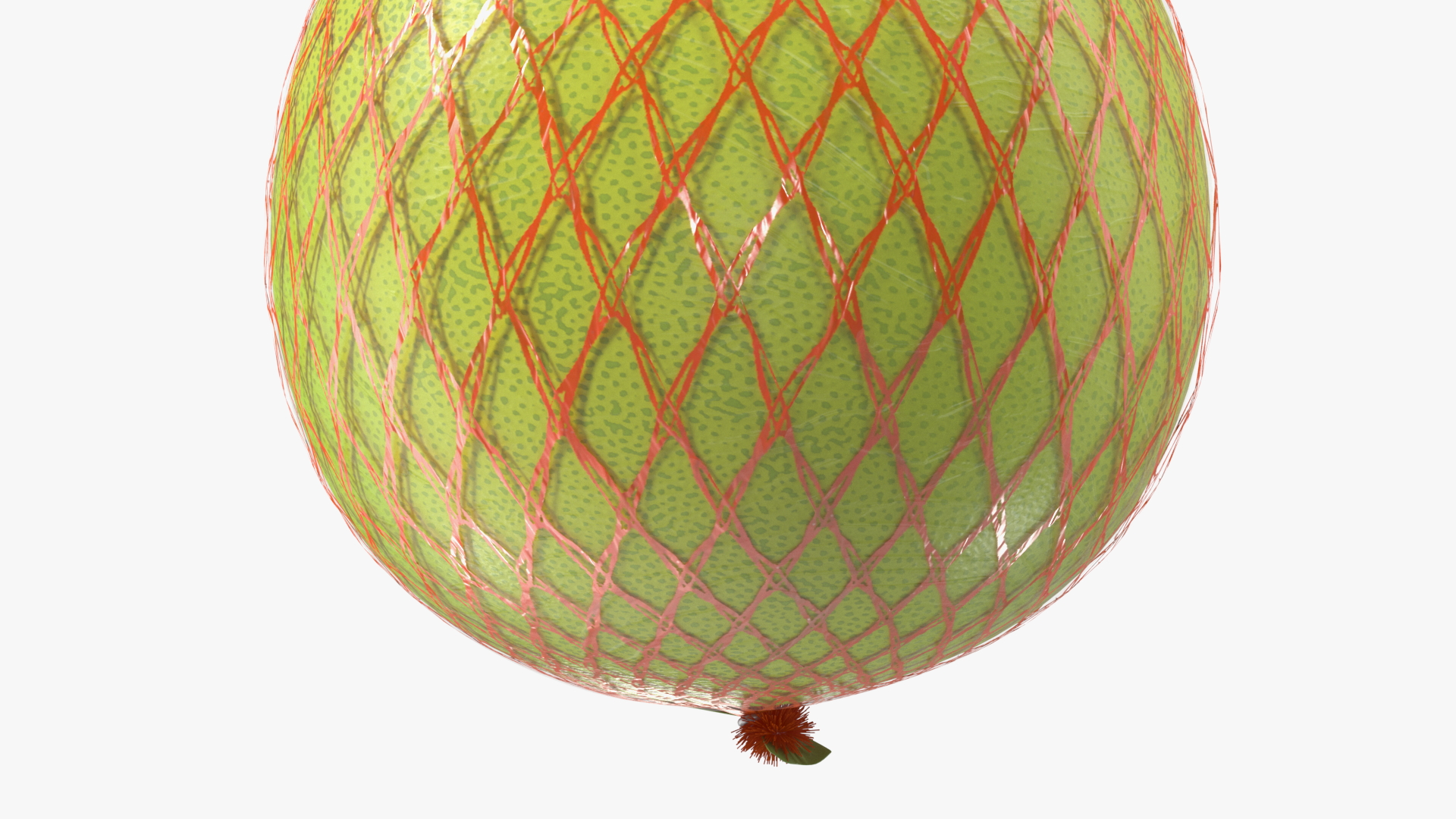 3D model Pomelo Green Fruit Package Fur