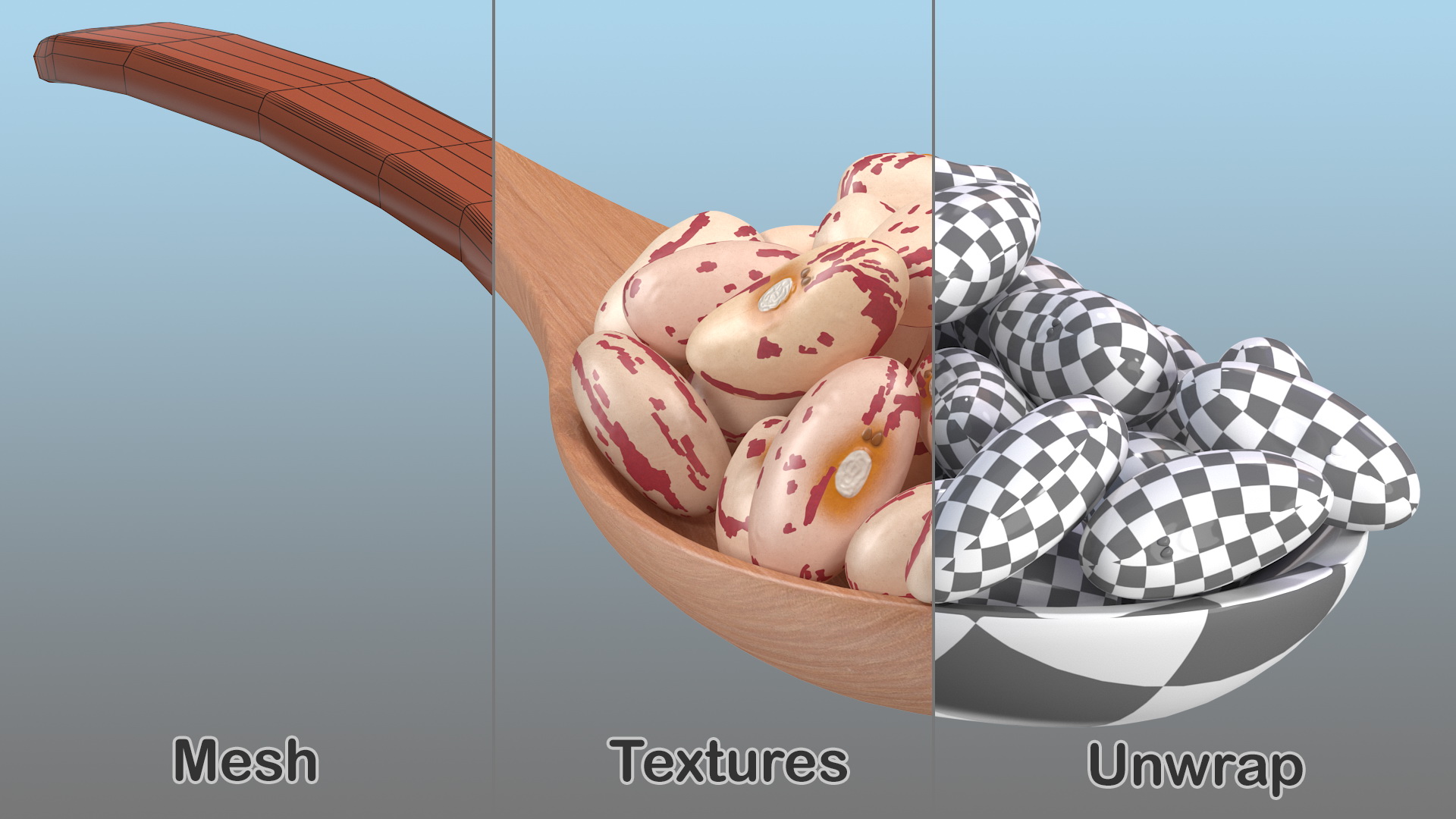 3D Roman Bean In a Wooden Spoon model