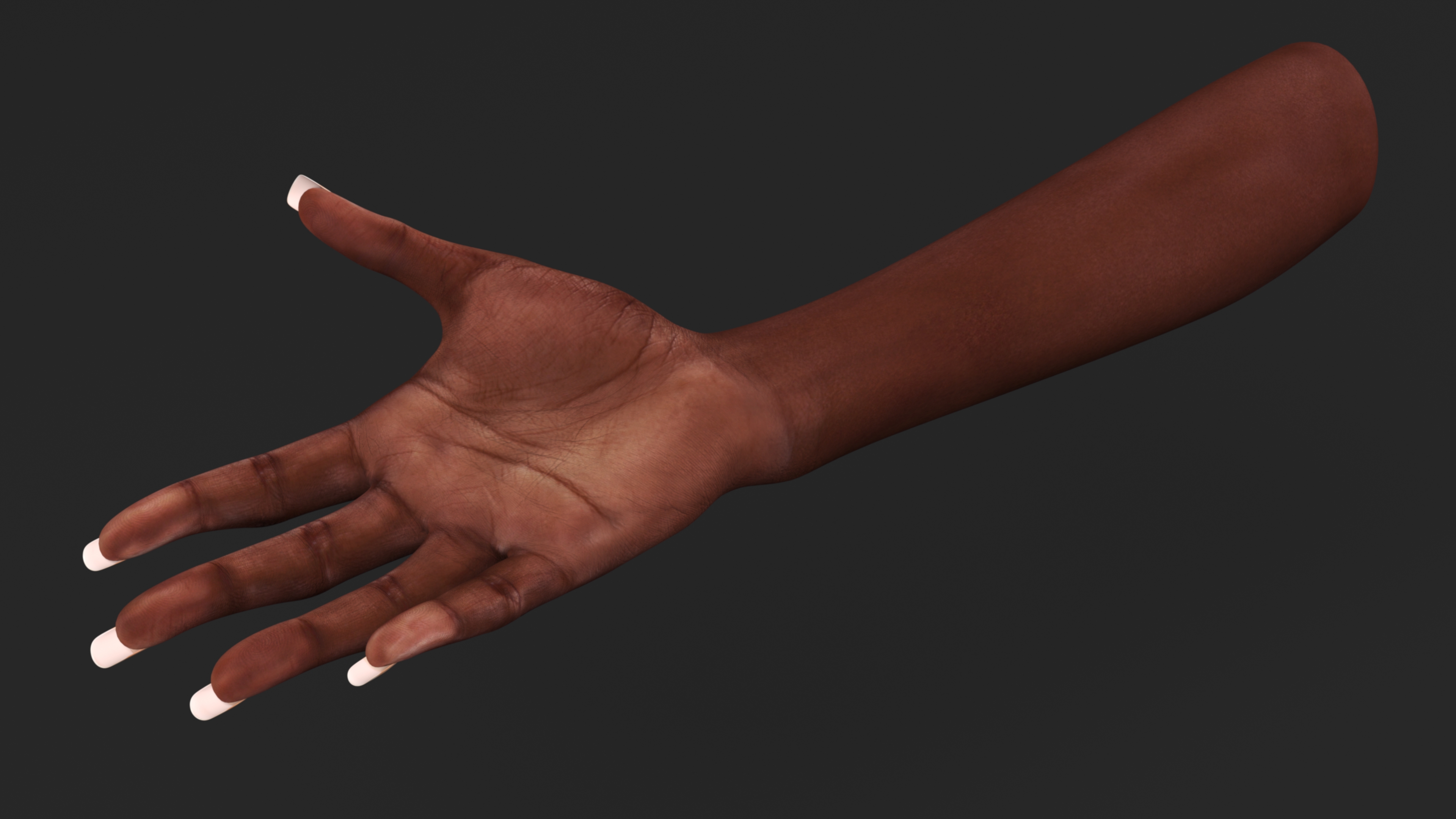 3D Afro American Female Hands Base Pose