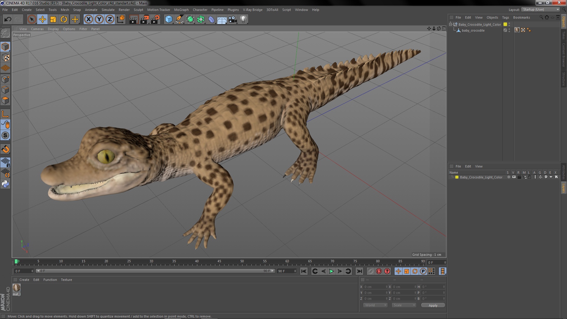 3D Baby Crocodile Light Color