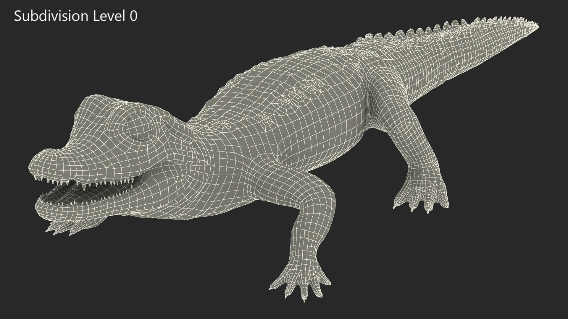 3D Baby Crocodile Light Color