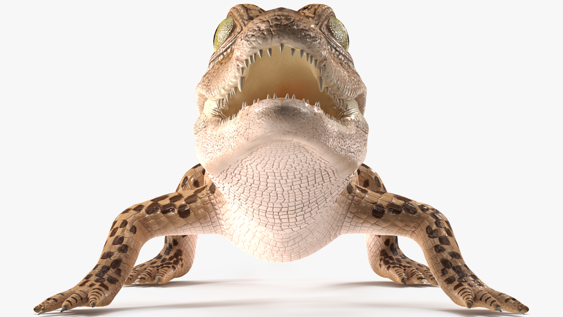 3D Baby Crocodile Light Color
