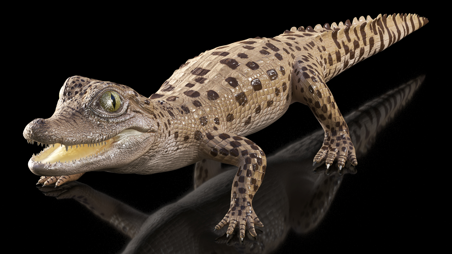 3D Baby Crocodile Light Color