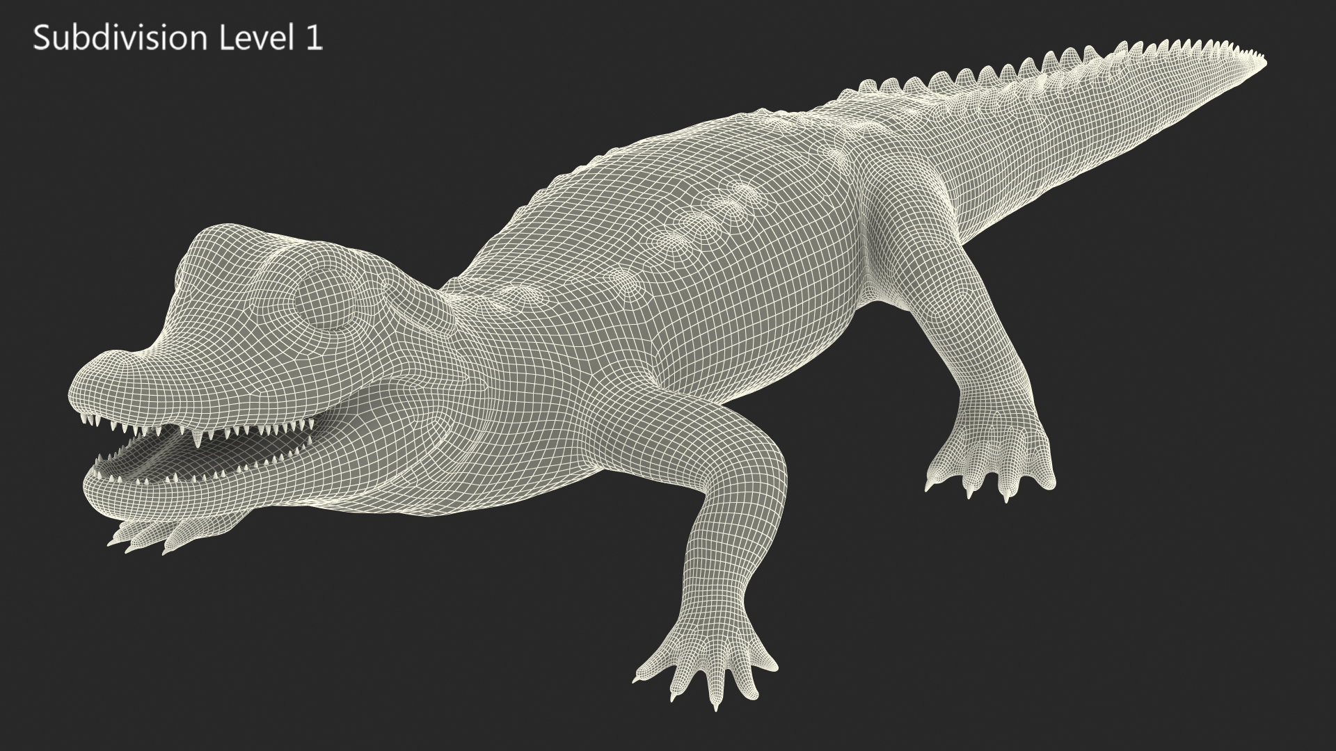 3D Baby Crocodile Light Color
