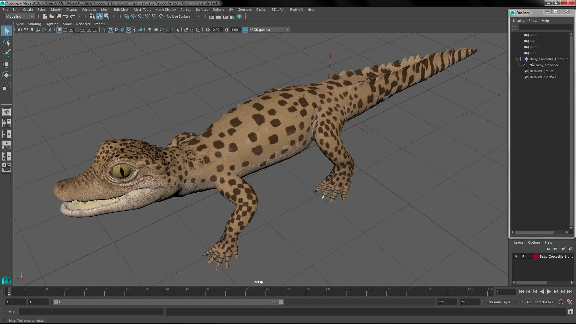 3D Baby Crocodile Light Color