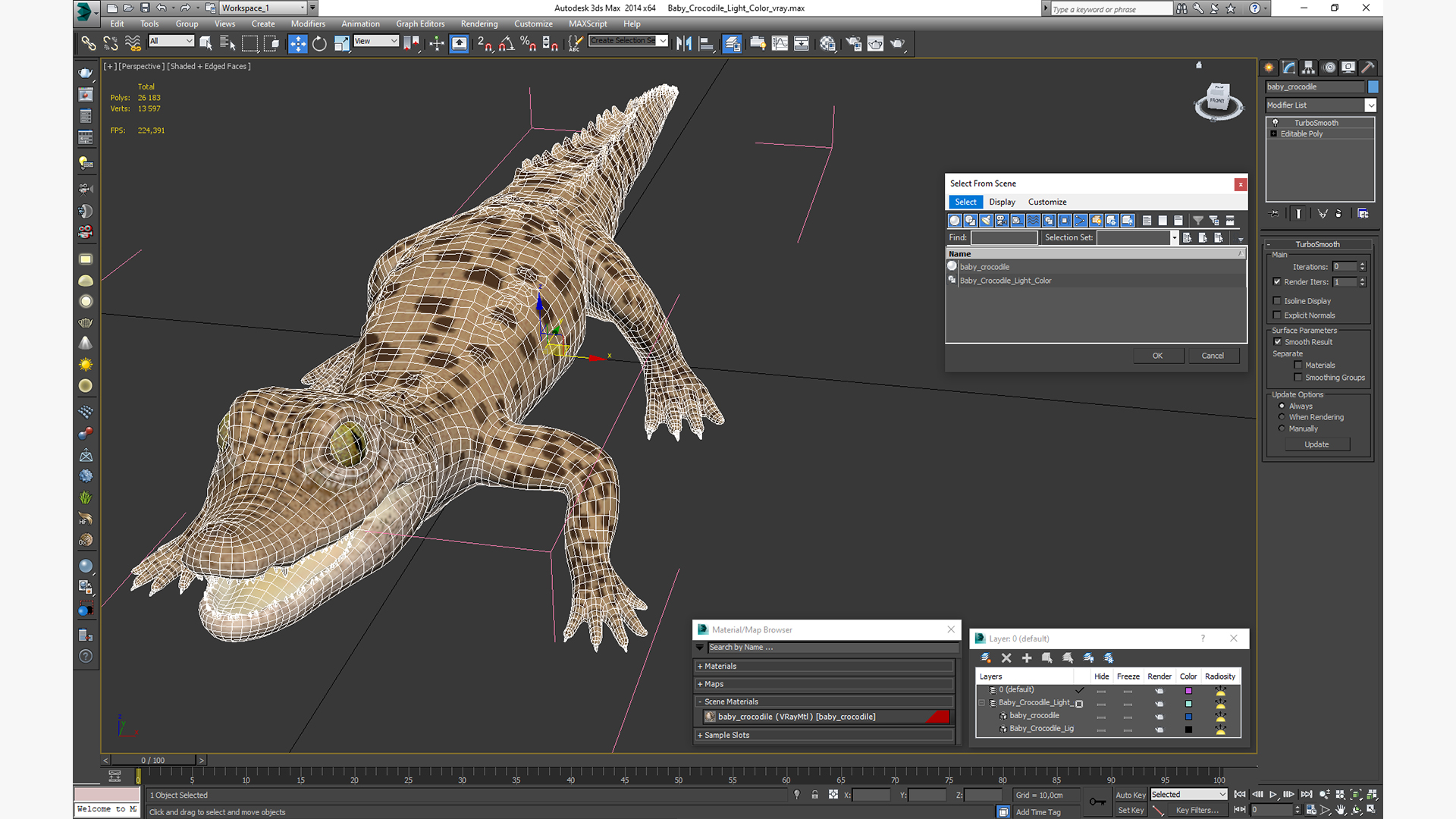 3D Baby Crocodile Light Color
