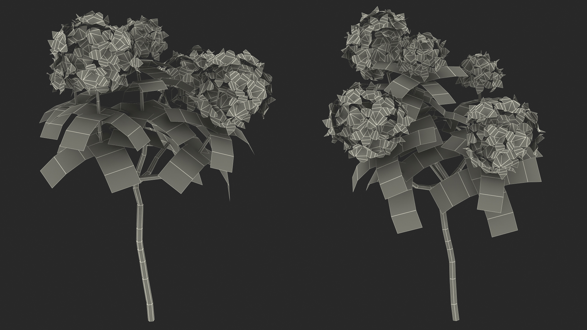 3D model Pink Rhododendron Flowers