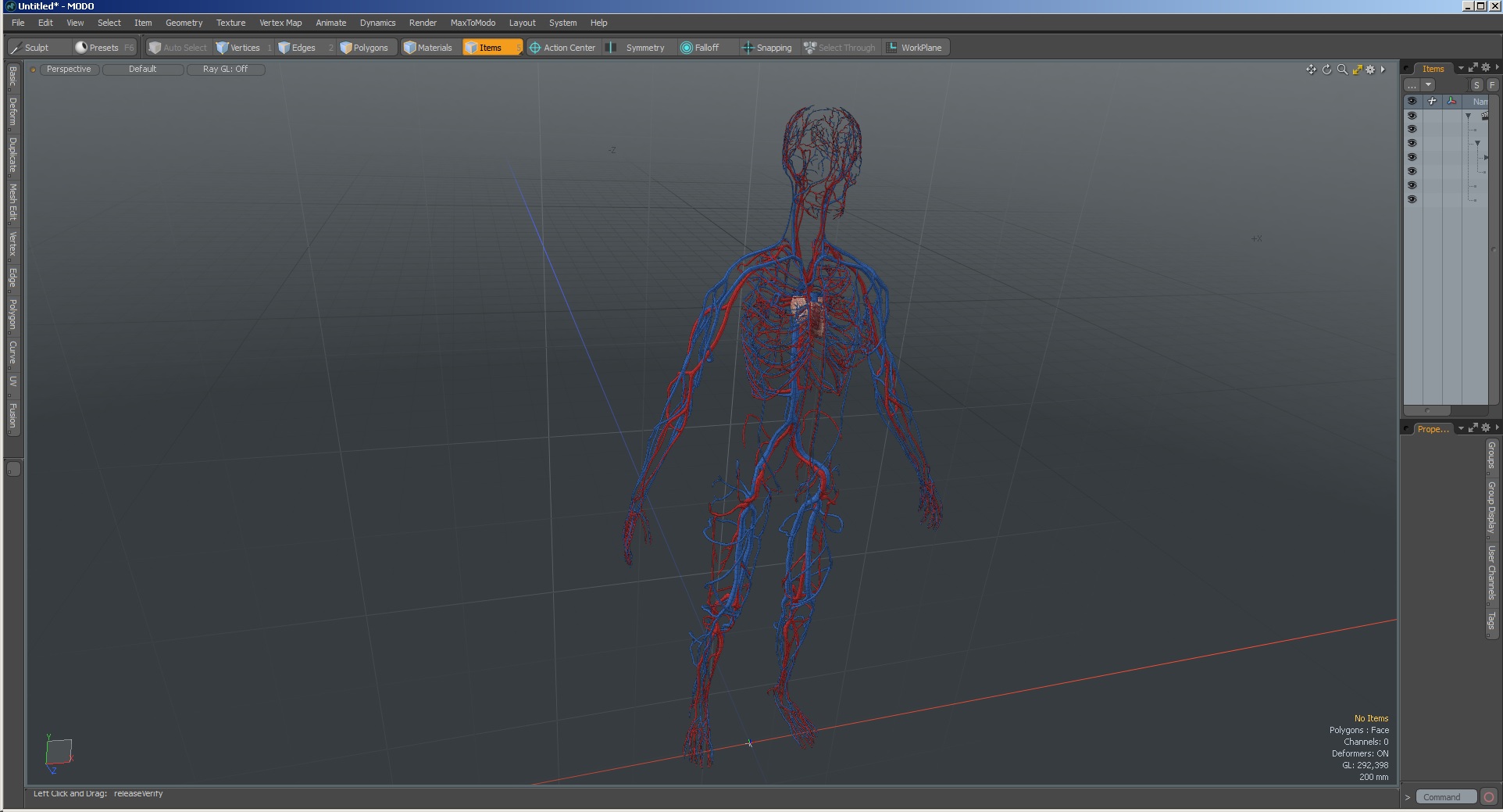 3D Female Cardiovascular System Anatomy