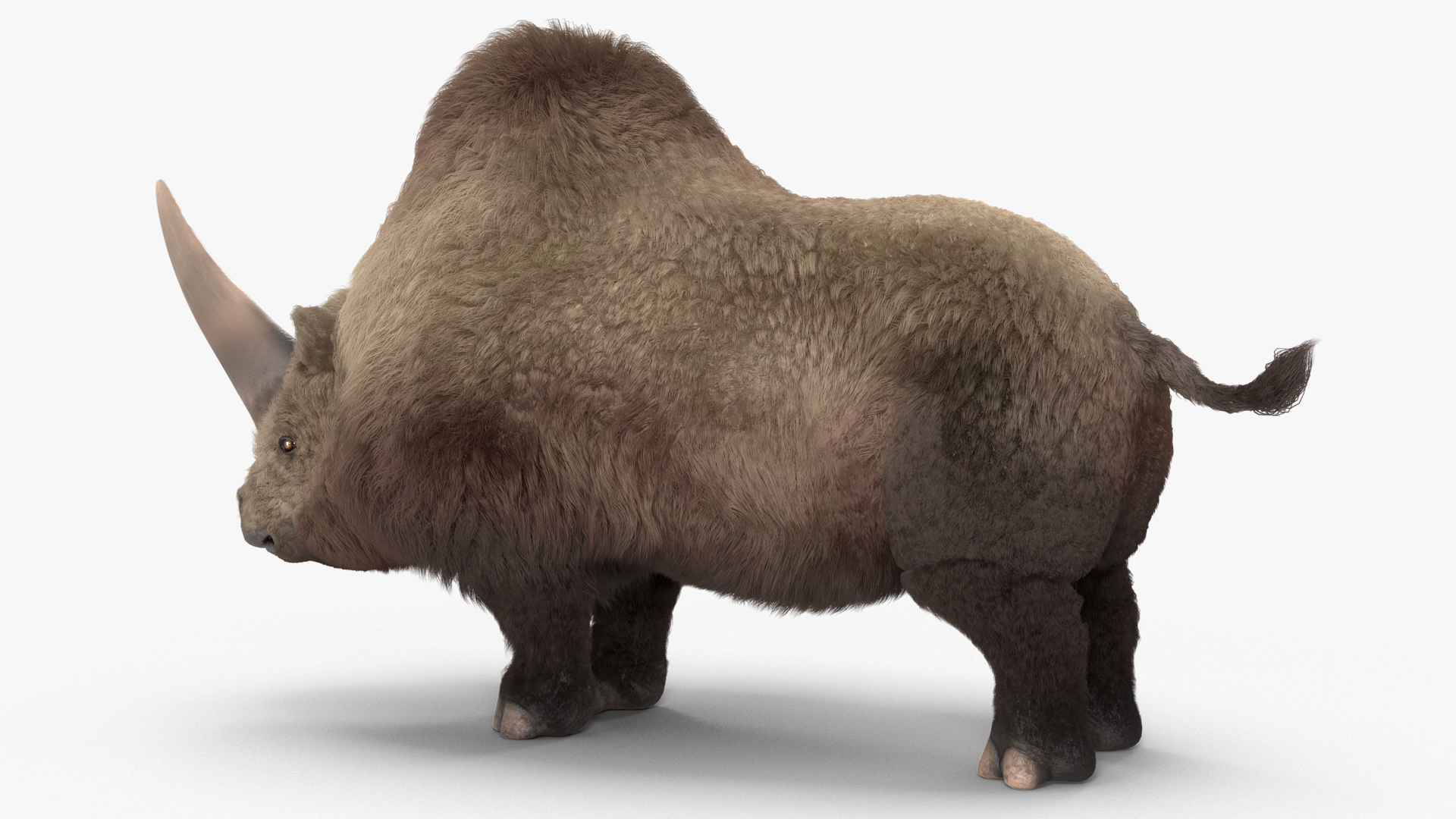 Elasmatherium Siberian Unicorn Neutral Pose Fur 3D