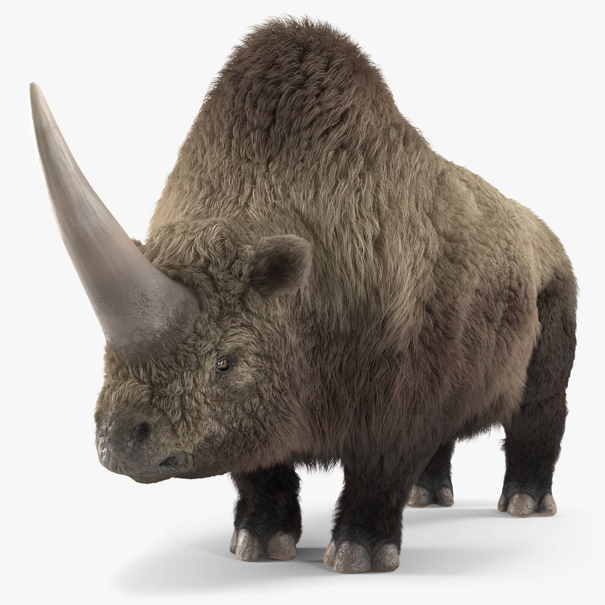 Elasmatherium Siberian Unicorn Neutral Pose Fur 3D