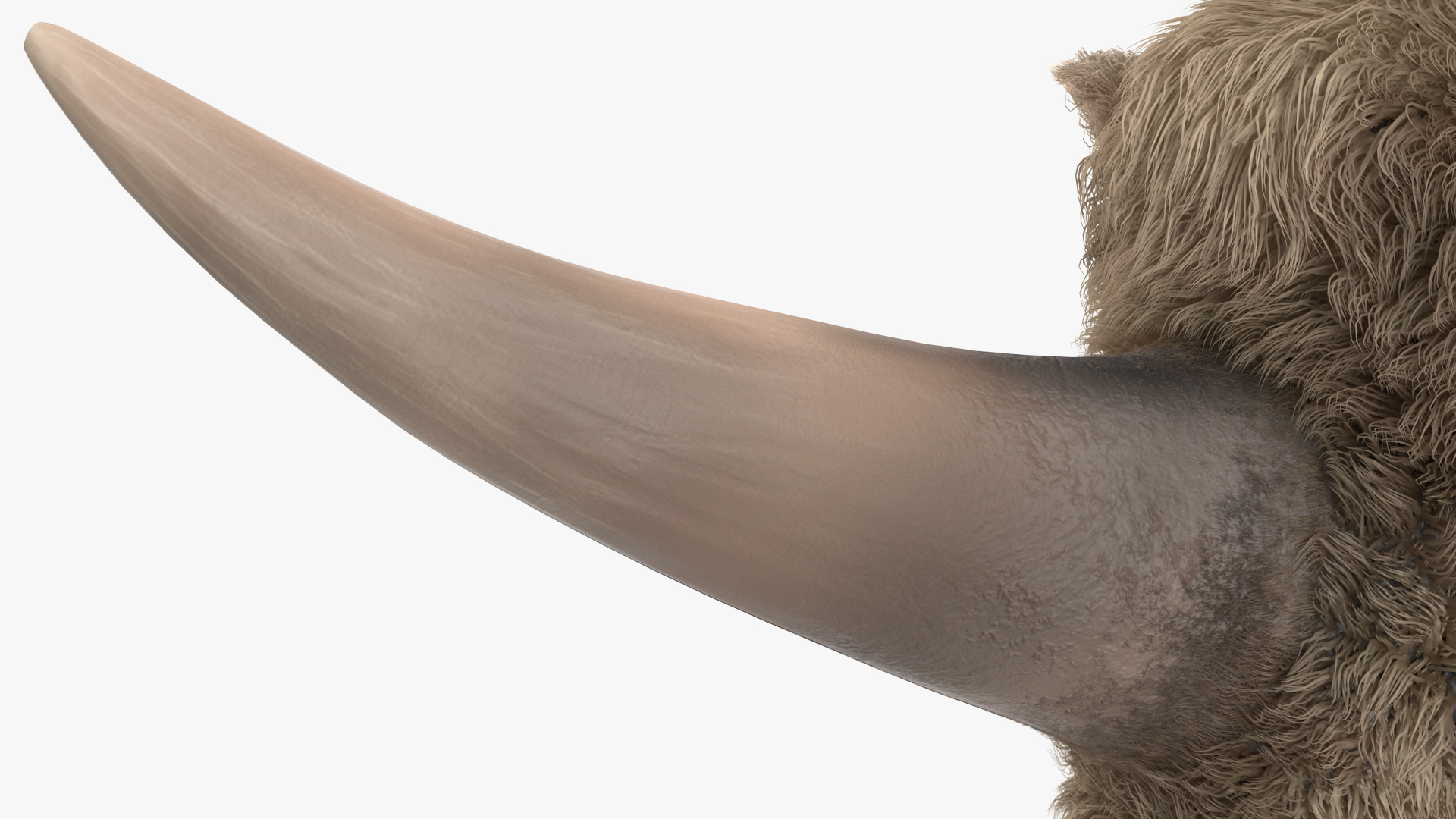Elasmatherium Siberian Unicorn Neutral Pose Fur 3D