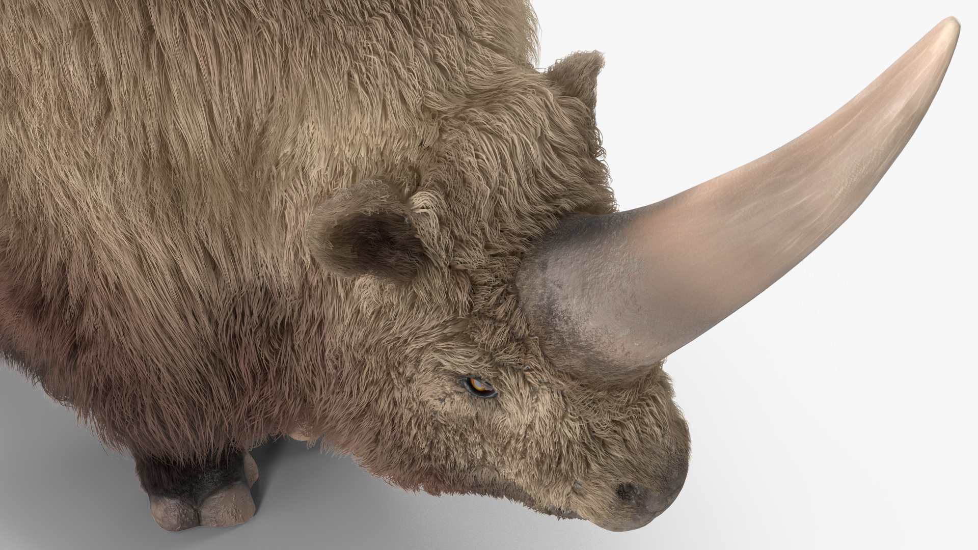 Elasmatherium Siberian Unicorn Neutral Pose Fur 3D