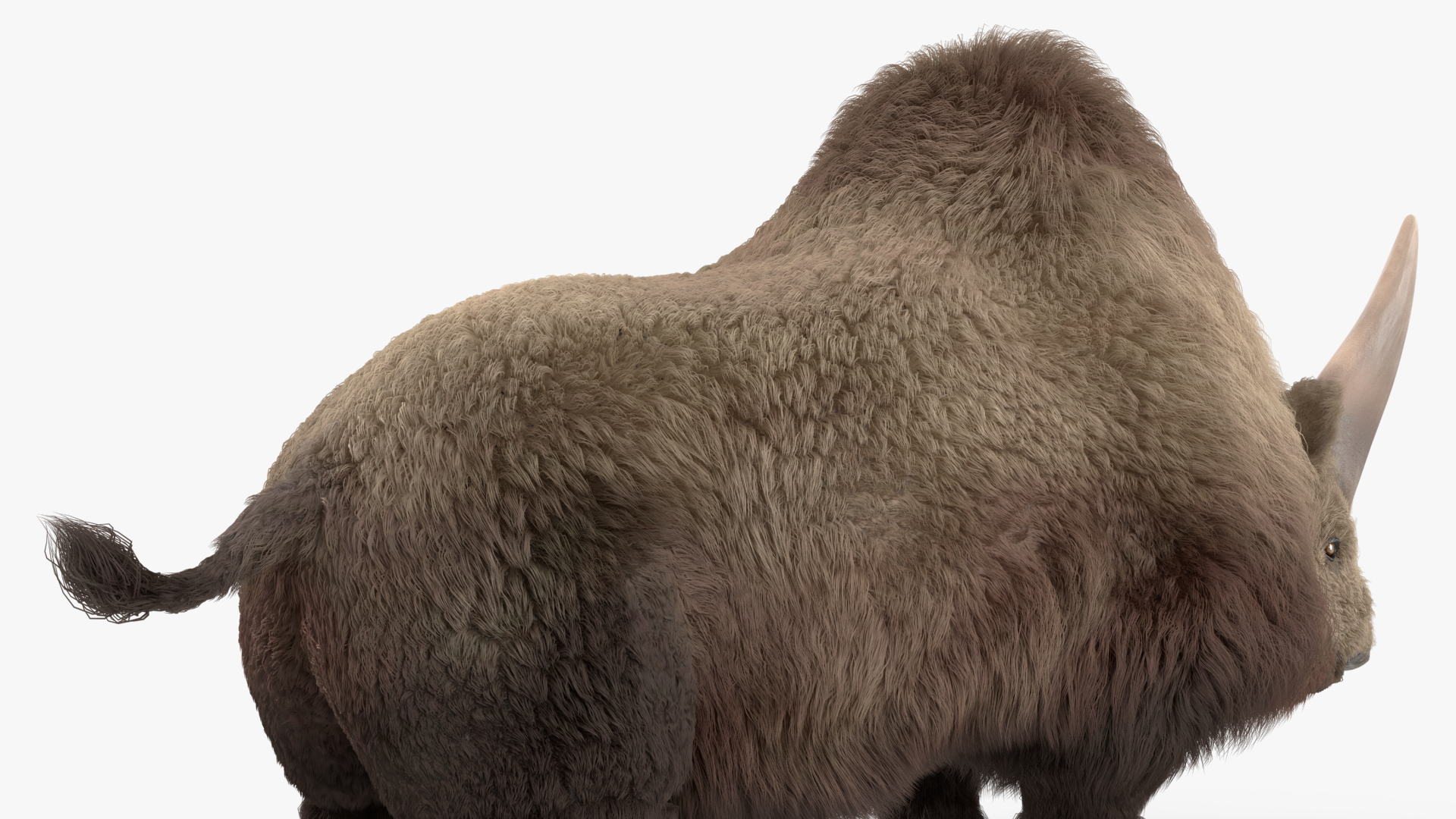 Elasmatherium Siberian Unicorn Neutral Pose Fur 3D