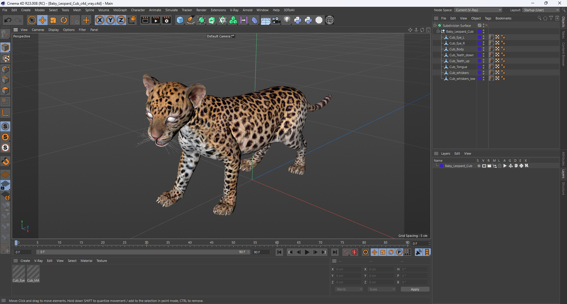 3D Baby Leopard Cub