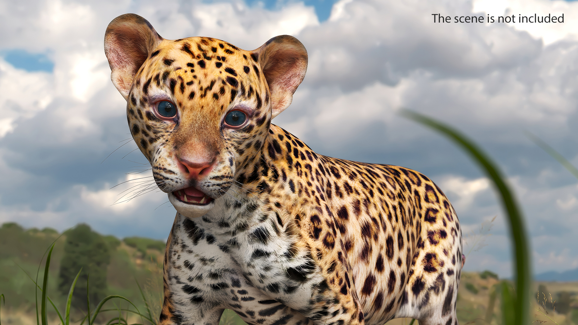 3D Baby Leopard Cub
