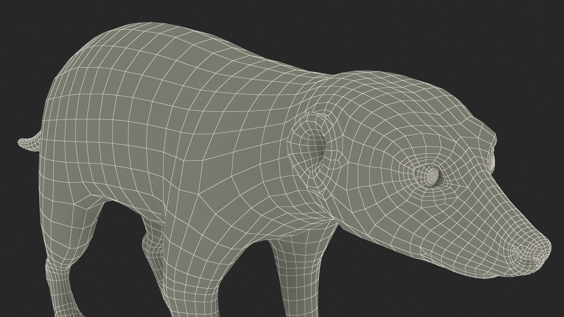 Meerkat Neutral Pose Fur 3D model