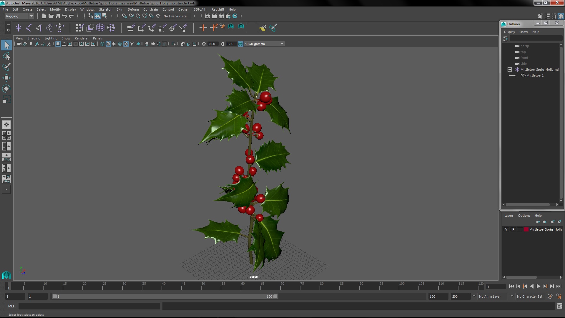 3D Mistletoe Sprig Holly
