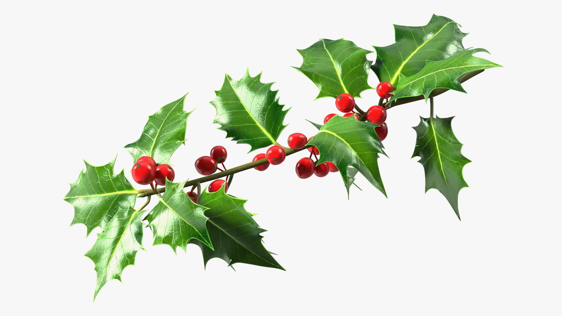 3D Mistletoe Sprig Holly