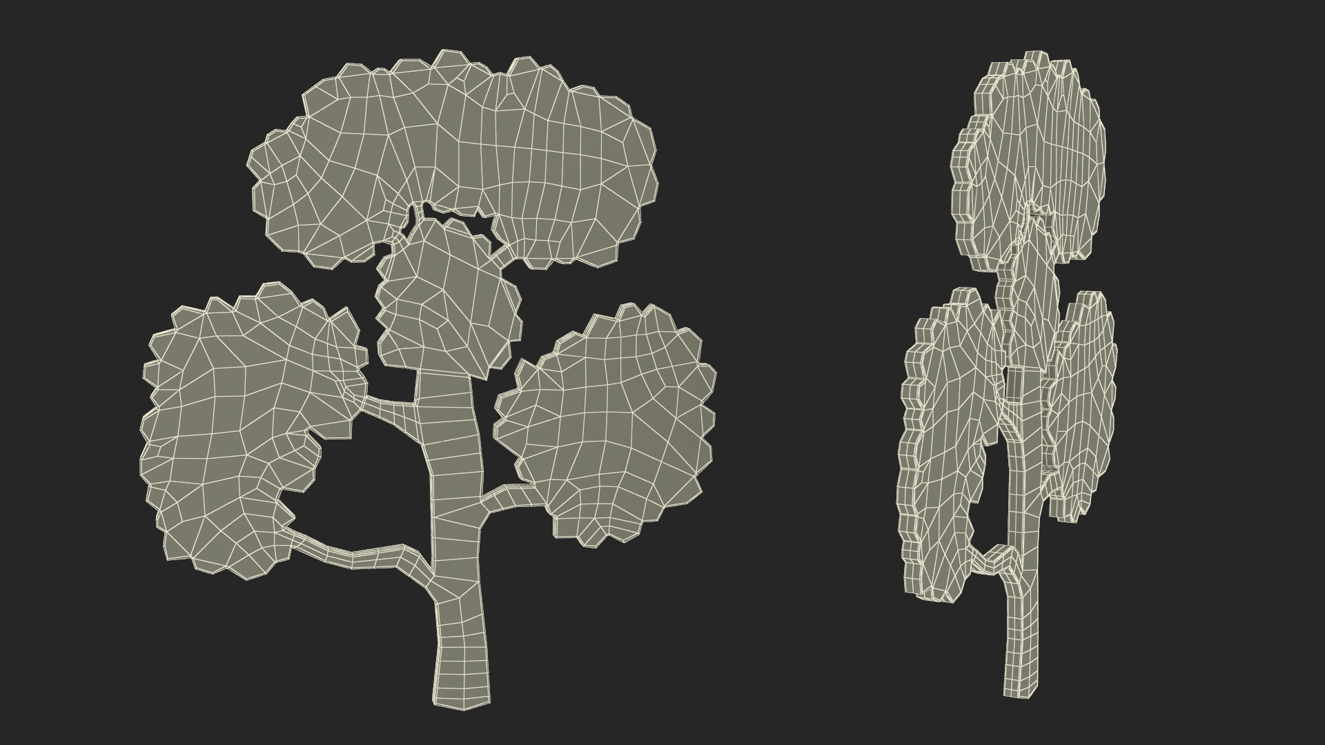 3D Sandalwood Silhouette