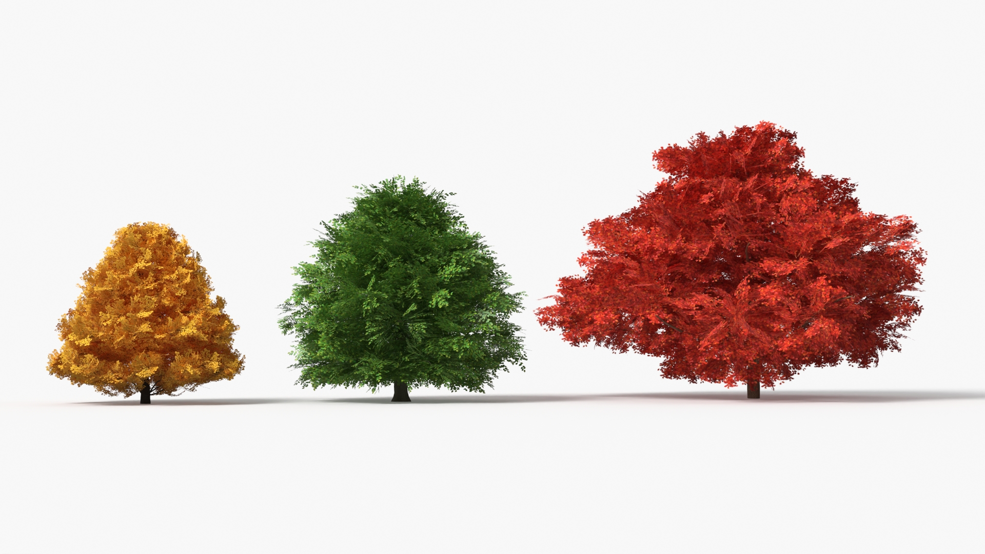 LowPoly Garden Shrubs Set Multicolor - view 4