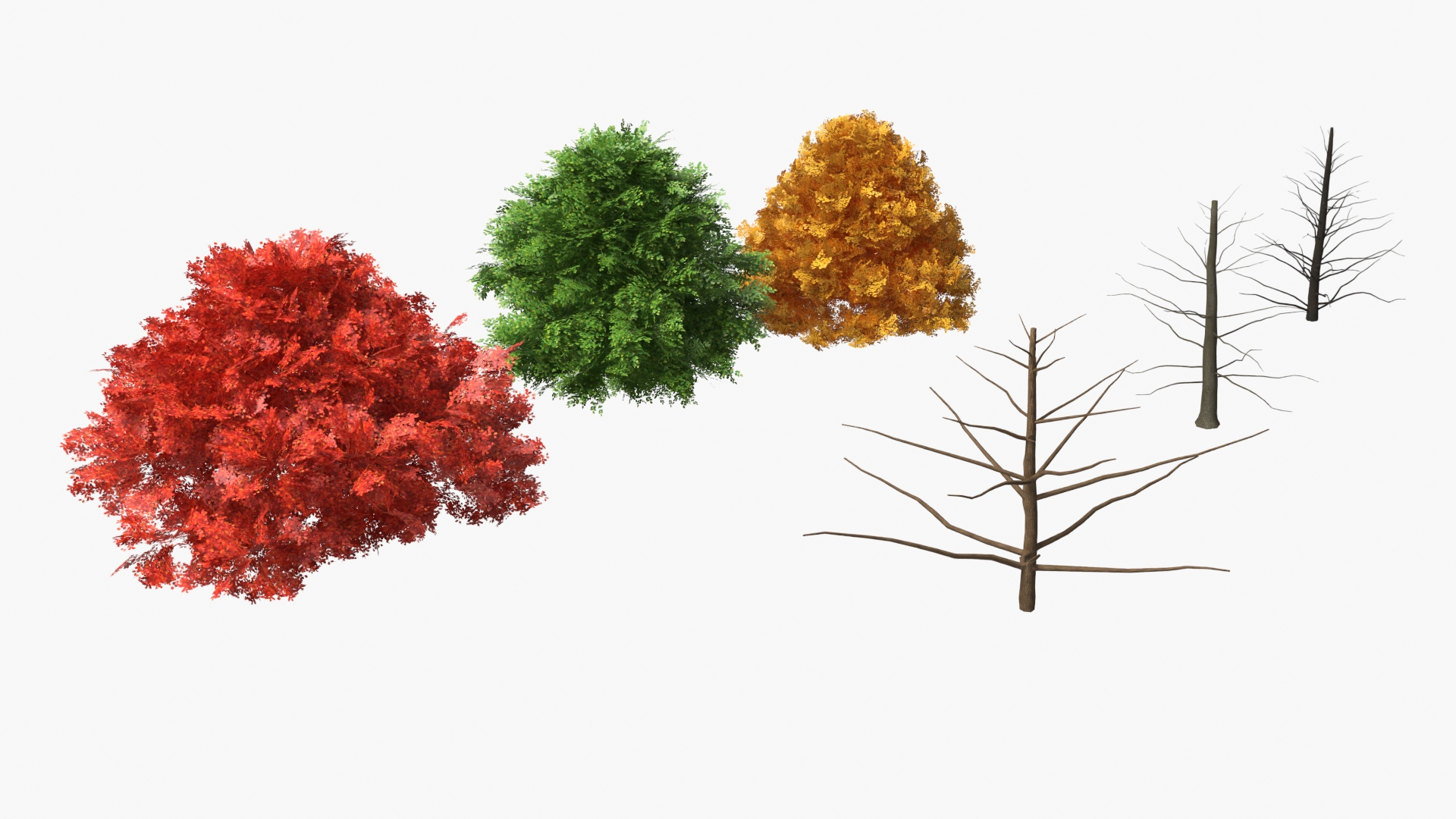 LowPoly Garden Shrubs Set Multicolor - view 7