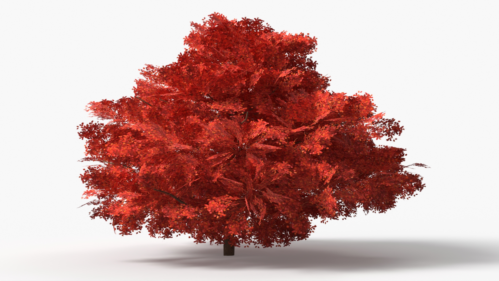 LowPoly Garden Shrubs Set Multicolor - view 6