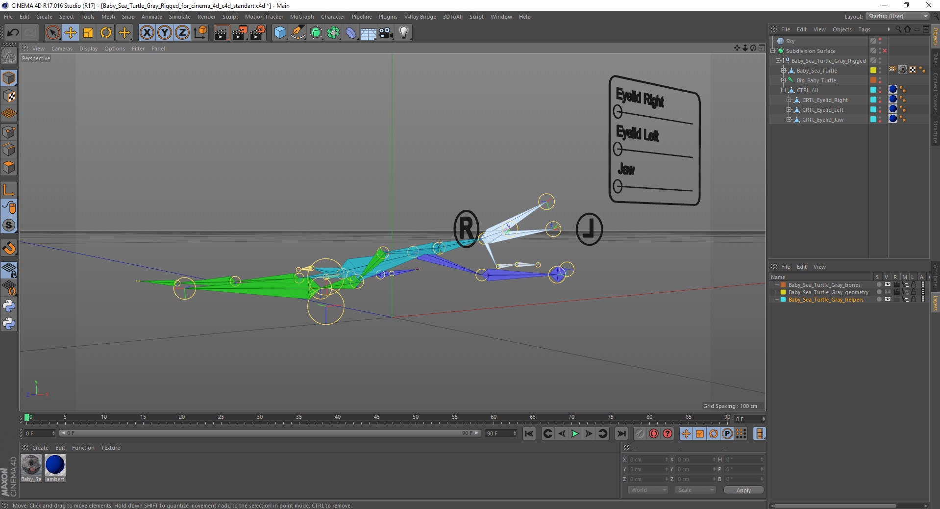 3D Baby Sea Turtle Gray Rigged for Cinema 4D