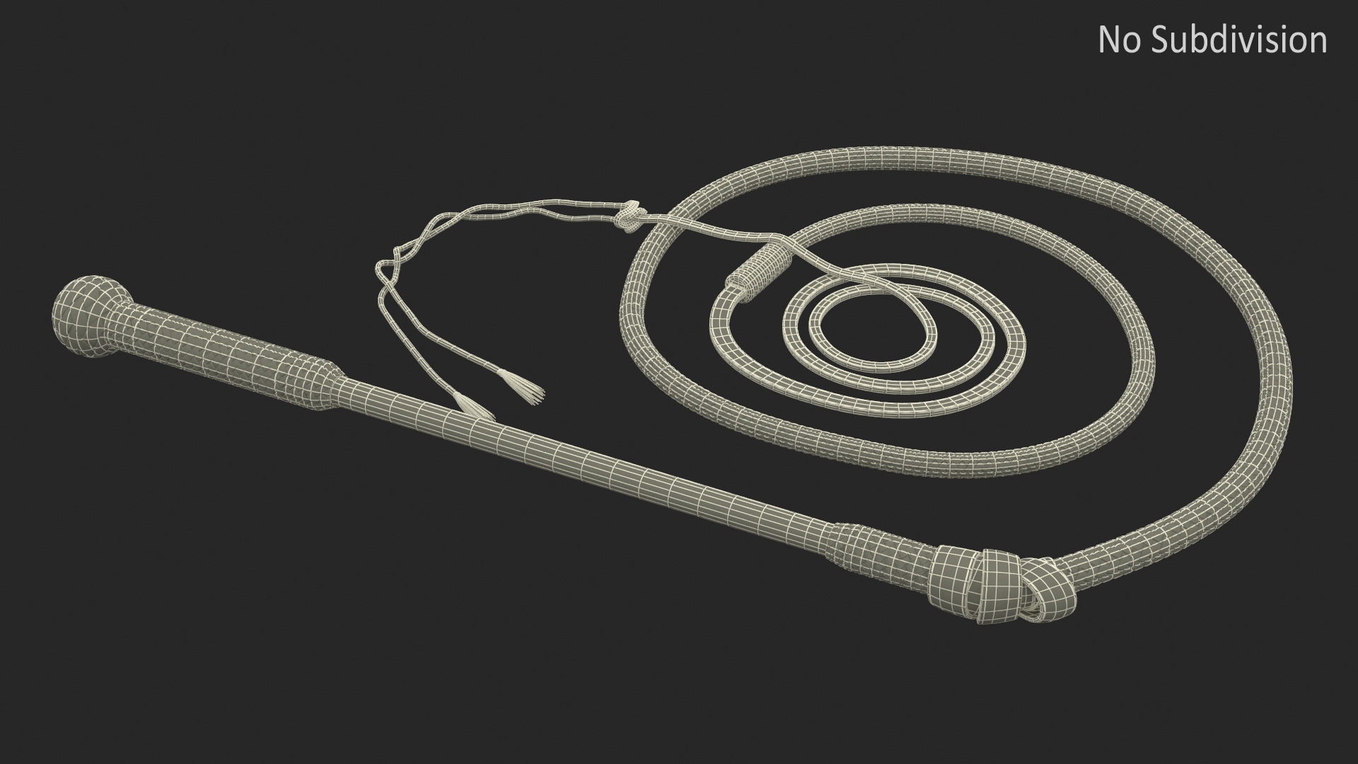 3D Historical Leather Whip Coiled Black