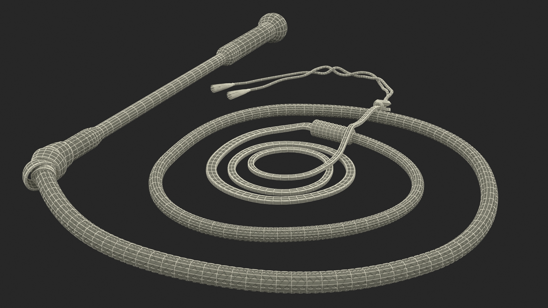 3D Historical Leather Whip Coiled Black