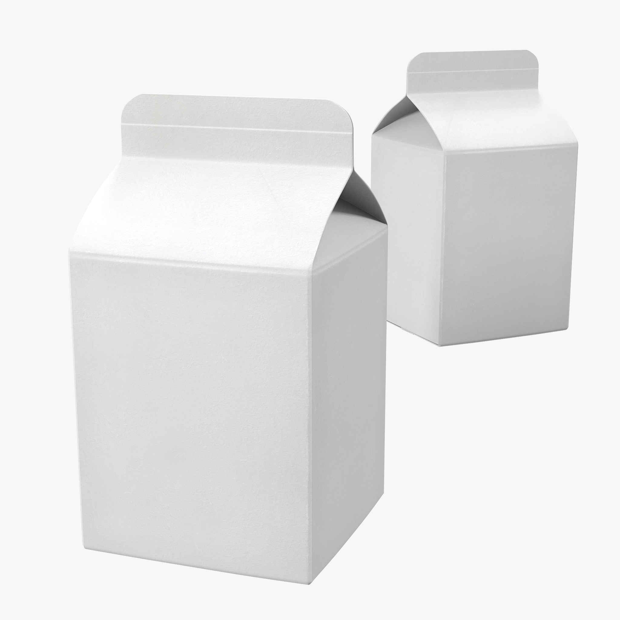Pint Milk Carton Generic Template 3D Model