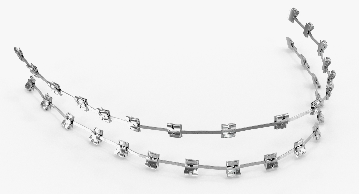 3D Teeth with Braces Model model
