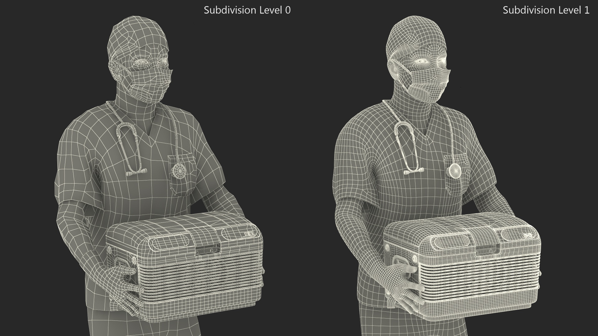 3D Medical Professional with Portable Medication Carrier model