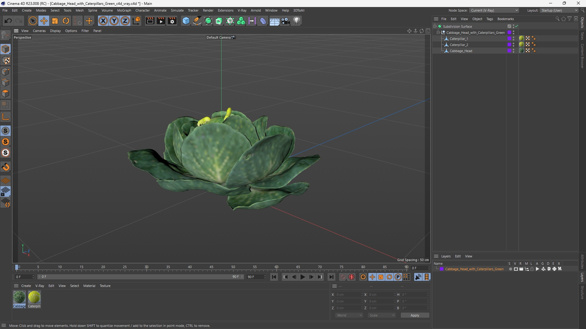 Cabbage Head with Caterpillars Green, view 11