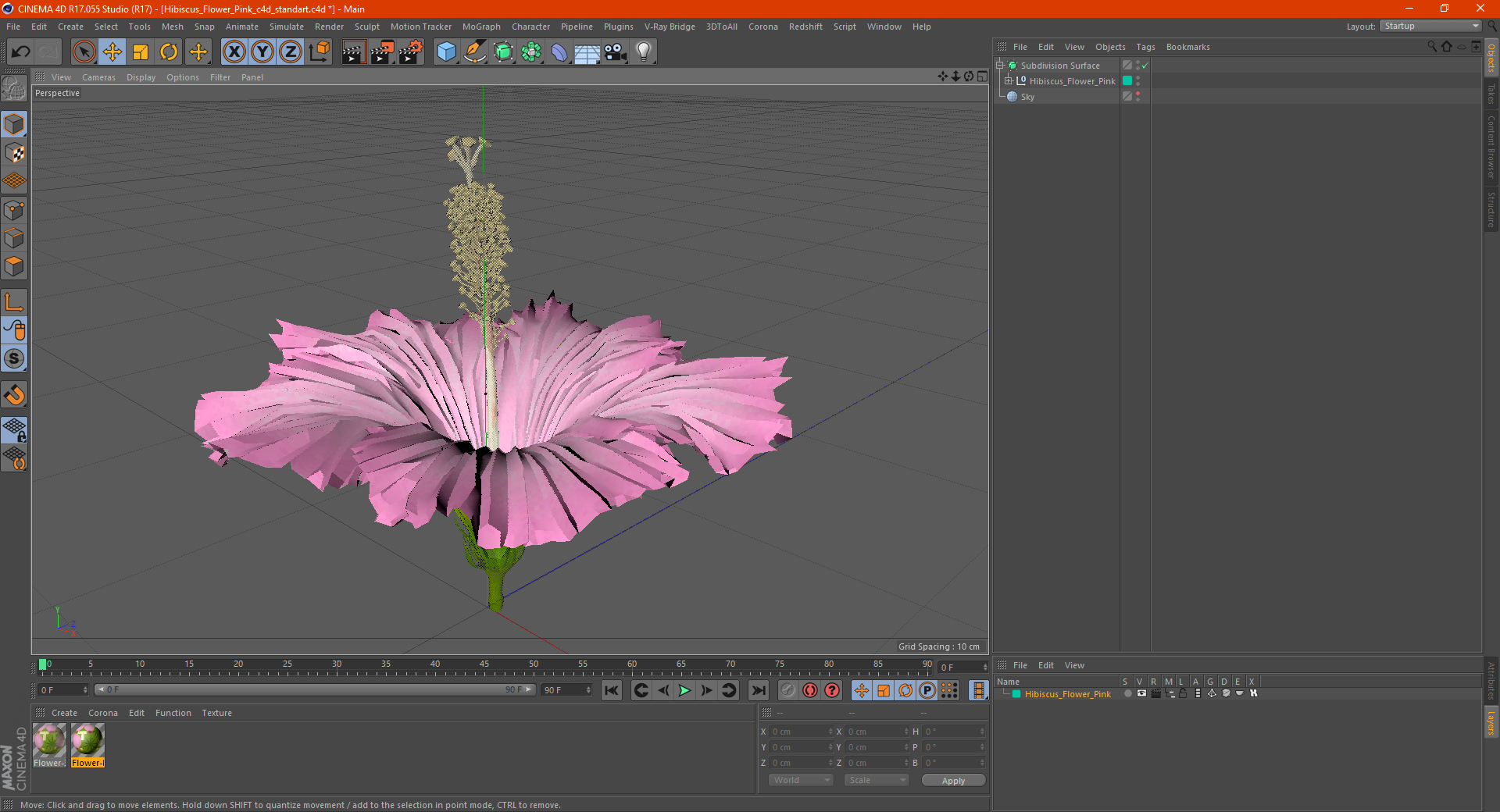 3D model Hibiscus Flower Pink