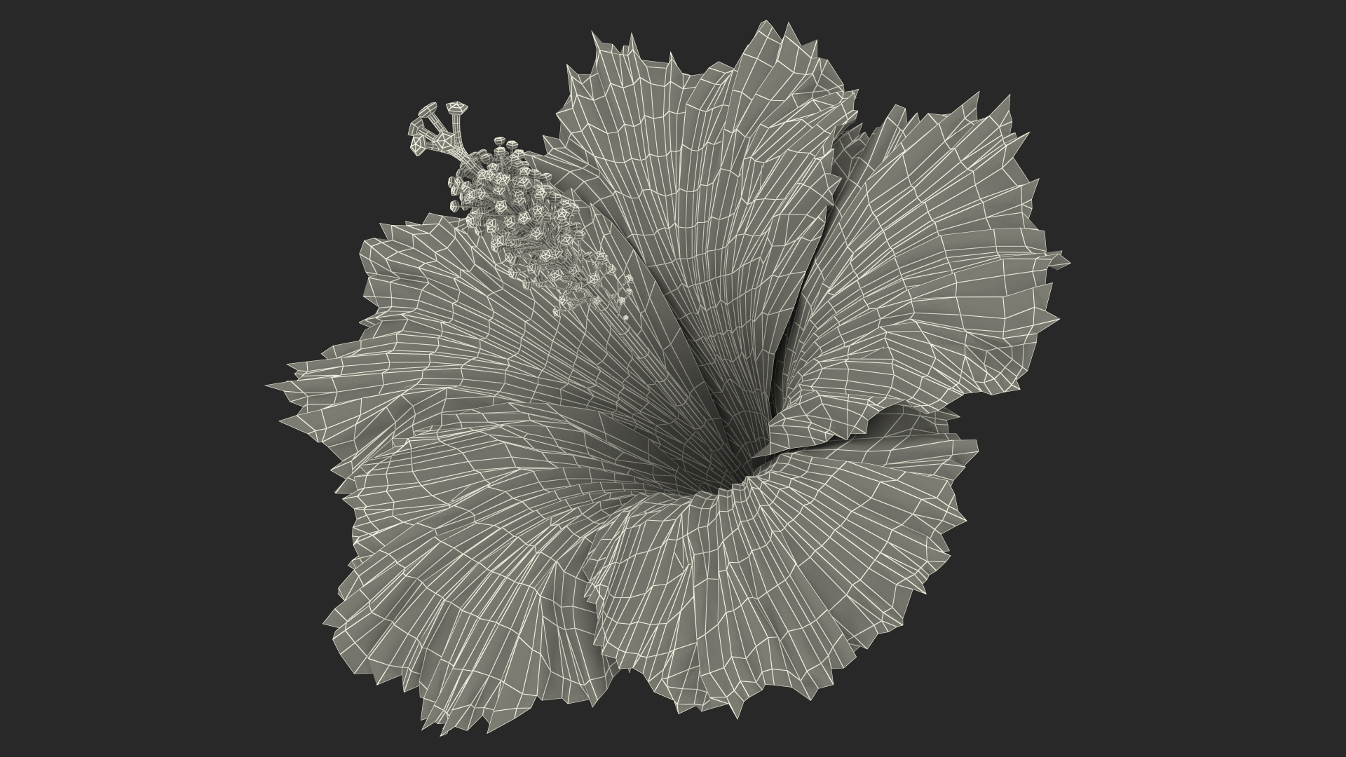 3D model Hibiscus Flower Pink