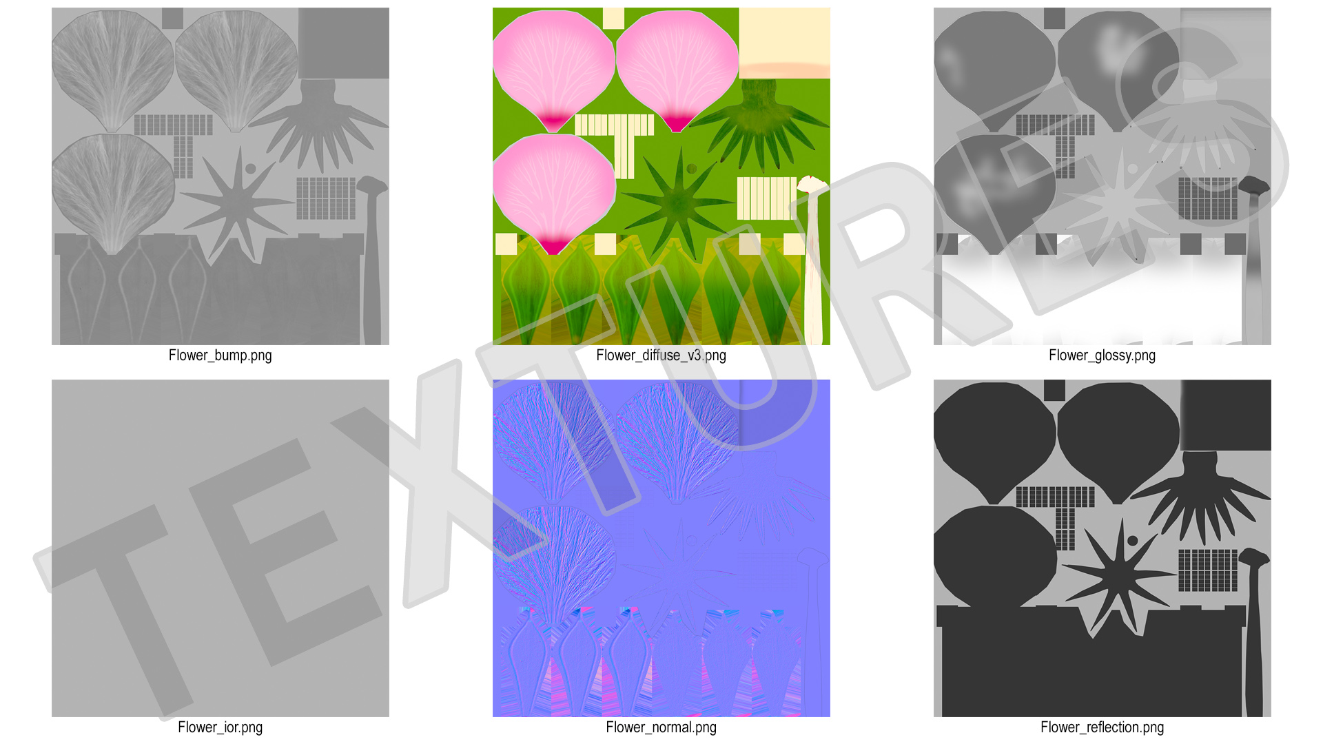 3D model Hibiscus Flower Pink