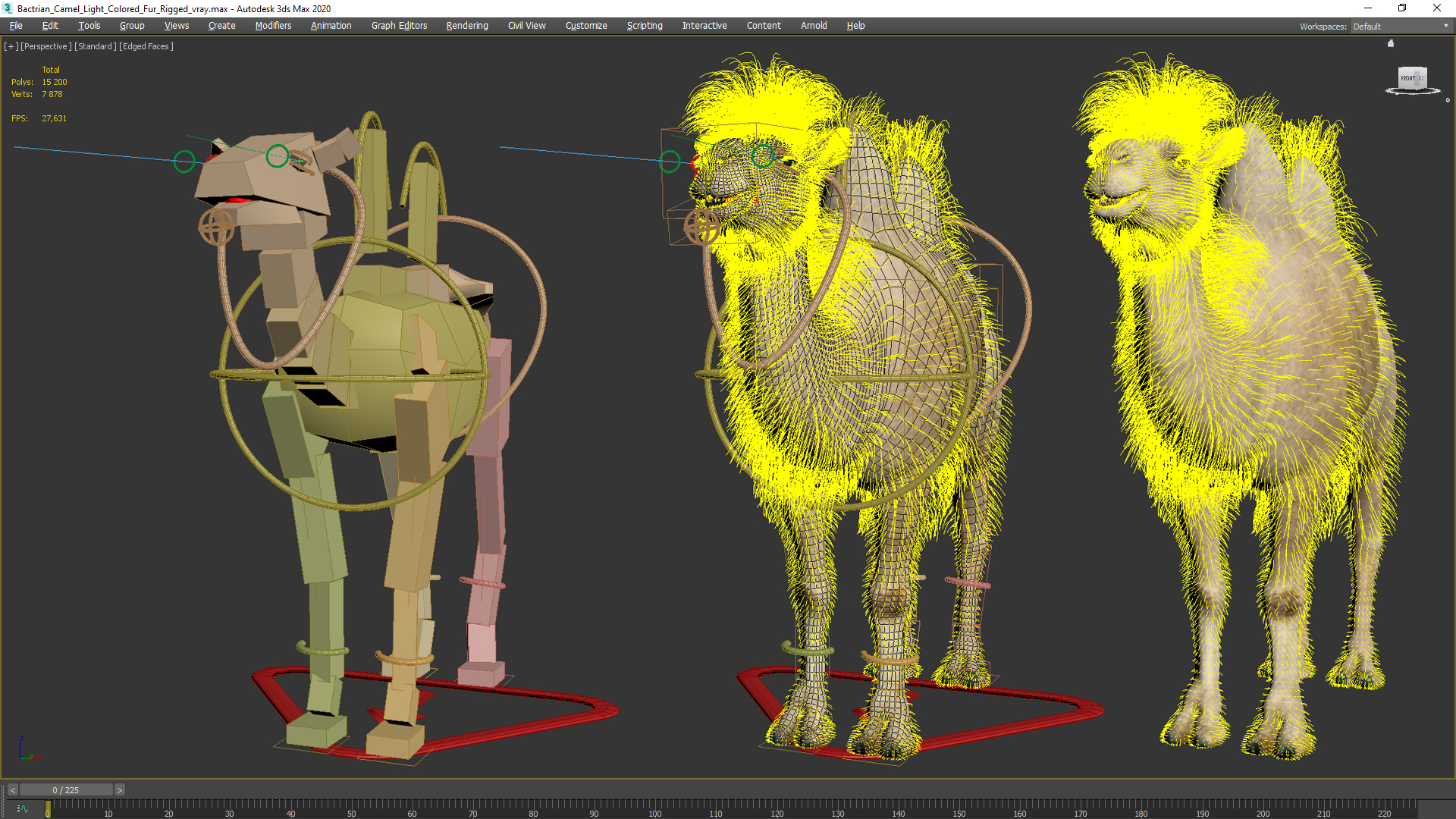 Bactrian Camel Light Colored Fur Rigged 3D model