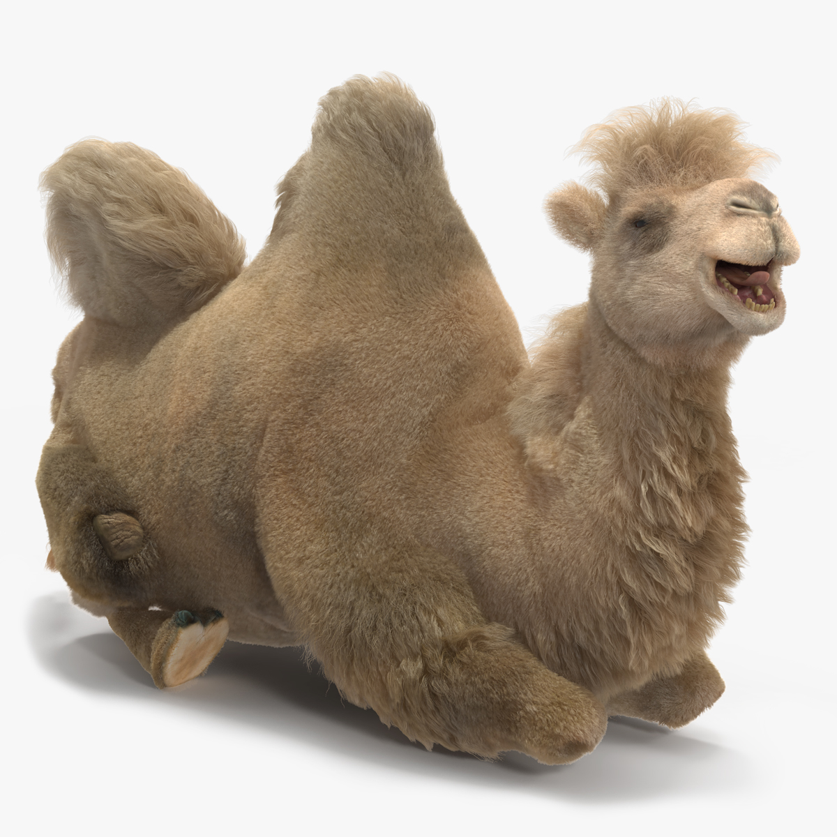 Bactrian Camel Light Colored Fur Rigged 3D model