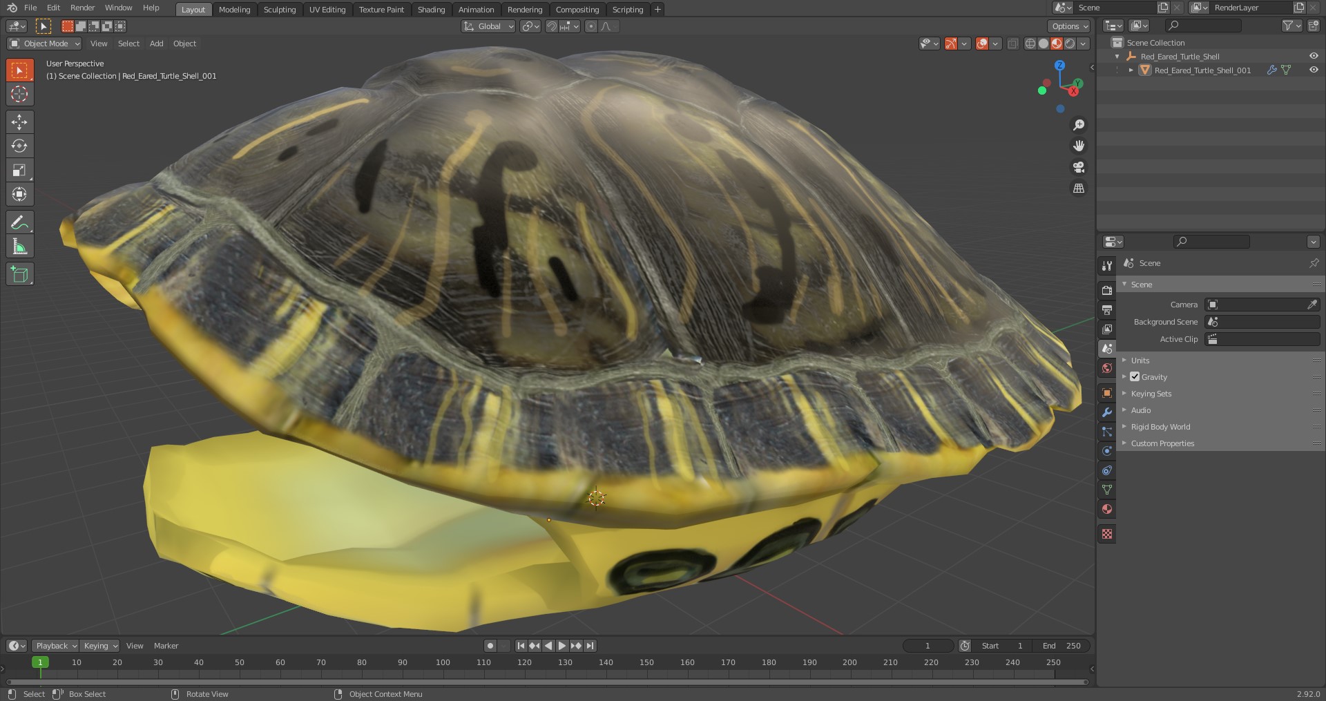 Red Eared Turtle Shell 3D