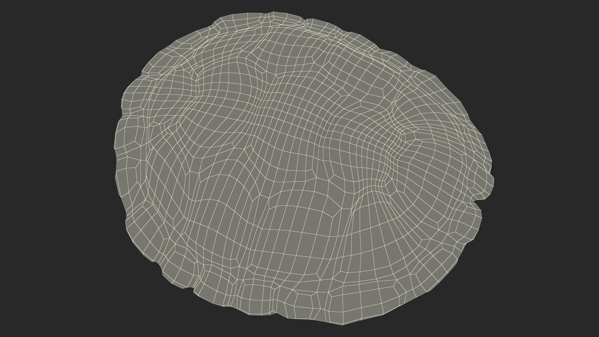 Red Eared Turtle Shell 3D